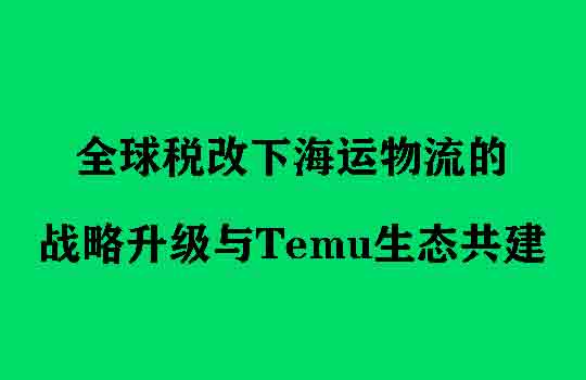 全球税改下海运物流的战略升级与Temu生态共建