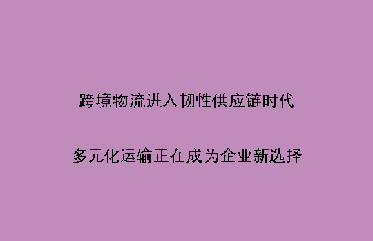 跨境物流进入韧性供应链时代：多元化运输正在成为企业新选择