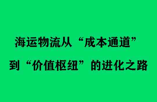 Temu战略升维与日本税改：海运物流从“成本通道”到“价值枢纽”的进化之路