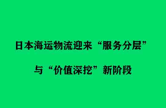 Temu平台定位演变，日本海运物流迎来“服务分层”与“价值深挖”新阶段