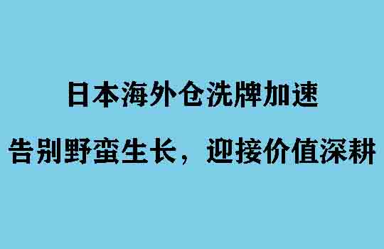 日本海外仓洗牌加速：告别野蛮生长，迎接价值深耕