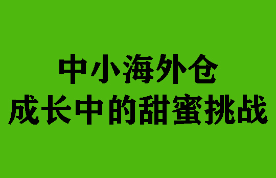 中小海外仓成长中的甜蜜挑战