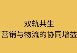 双轨共生：营销与物流的协同增益