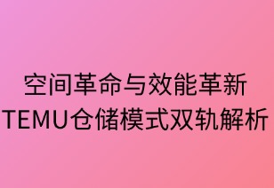 空间革命与效能革新：TEMU仓储模式双轨解析