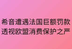 希音在法国遭遇巨额罚款：透视欧盟消费保护之严