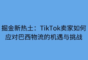掘金新热土：TikTok卖家如何应对巴西物流的机遇与挑战