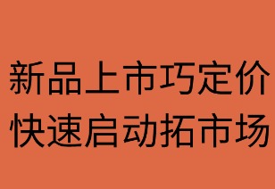 新品上市巧定价 快速启动拓市场