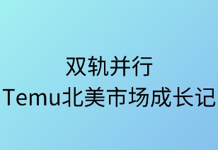 双轨并行：Temu北美市场成长记