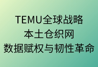 TEMU 全球战略：本土仓织网、数据赋权与韧性革命