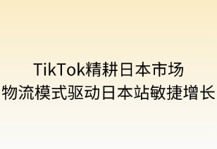 精耕日本市场：物流模式与定价策略的协同之道