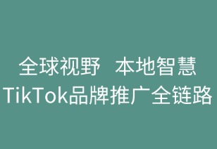 全球视野，本地智慧：TikTok品牌推广全链路解析