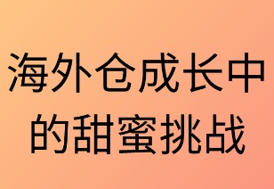 海外仓成长中的甜蜜挑战