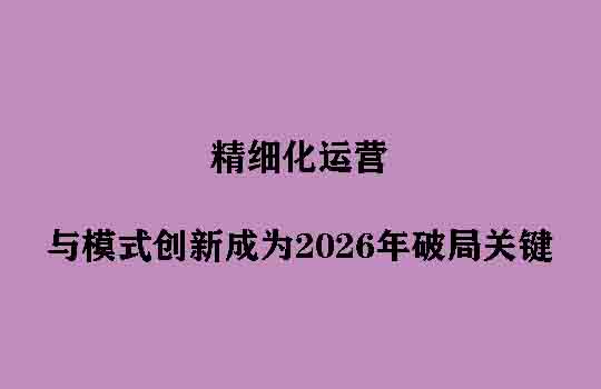 海外仓的十字路口：精细化运营与模式创新成为2026年破局关键