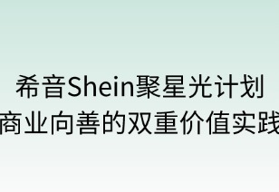 聚星光计划：商业向善的双重价值实践