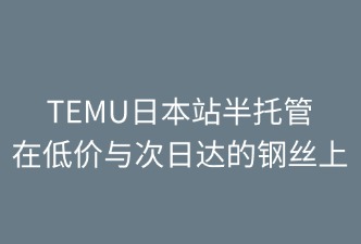 市场如何影响TEMU日本半托管调整
