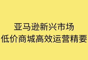 亚马逊低价商城高效运营实战精要