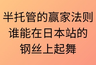 TEMU日本半托管适合的卖家类型