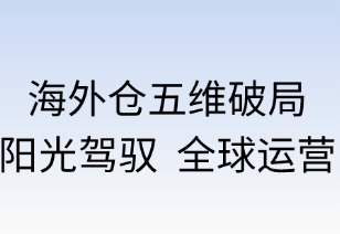 海外仓五维破局：阳光驾驭全球运营