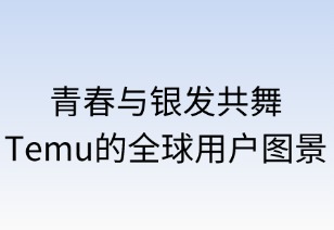 青春与银发共舞：Temu的全球用户图景