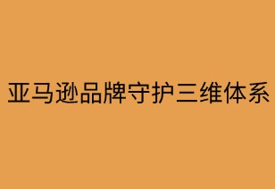 亚马逊品牌守护三维实战体系