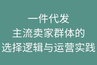 一件代发：主流卖家群体的选择逻辑与运营实践