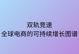 双轨竞速：全球电商的可持续增长图谱