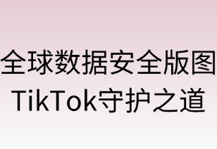 全球数据安全版图 TikTok守护之道